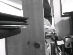 Shelf Black and White